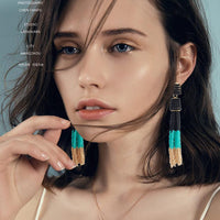 Fashion Mixed Beaded Tassel Drop Earrings for Women, Unique Design Seed Bead Dangle Earrings
