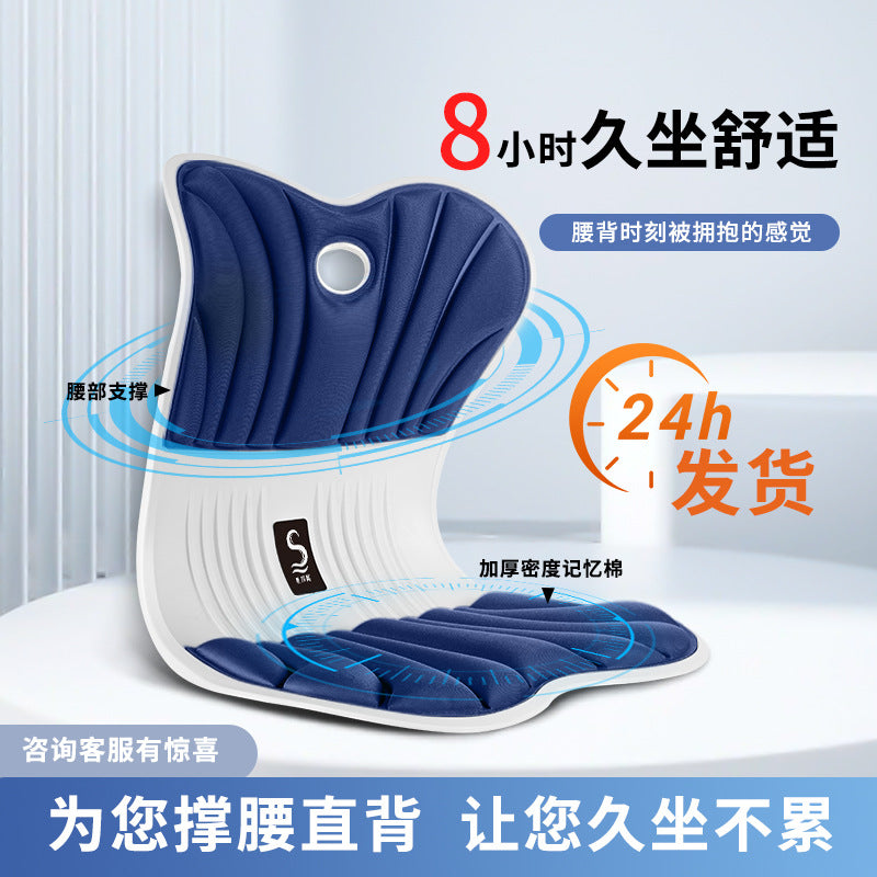 Ergonomic Posture Correction Seat Cushion for Kids and Students, Lumbar Support for Prolonged Sitting
