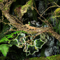Artificial Vine for Reptile Terrarium Decor and Climbing