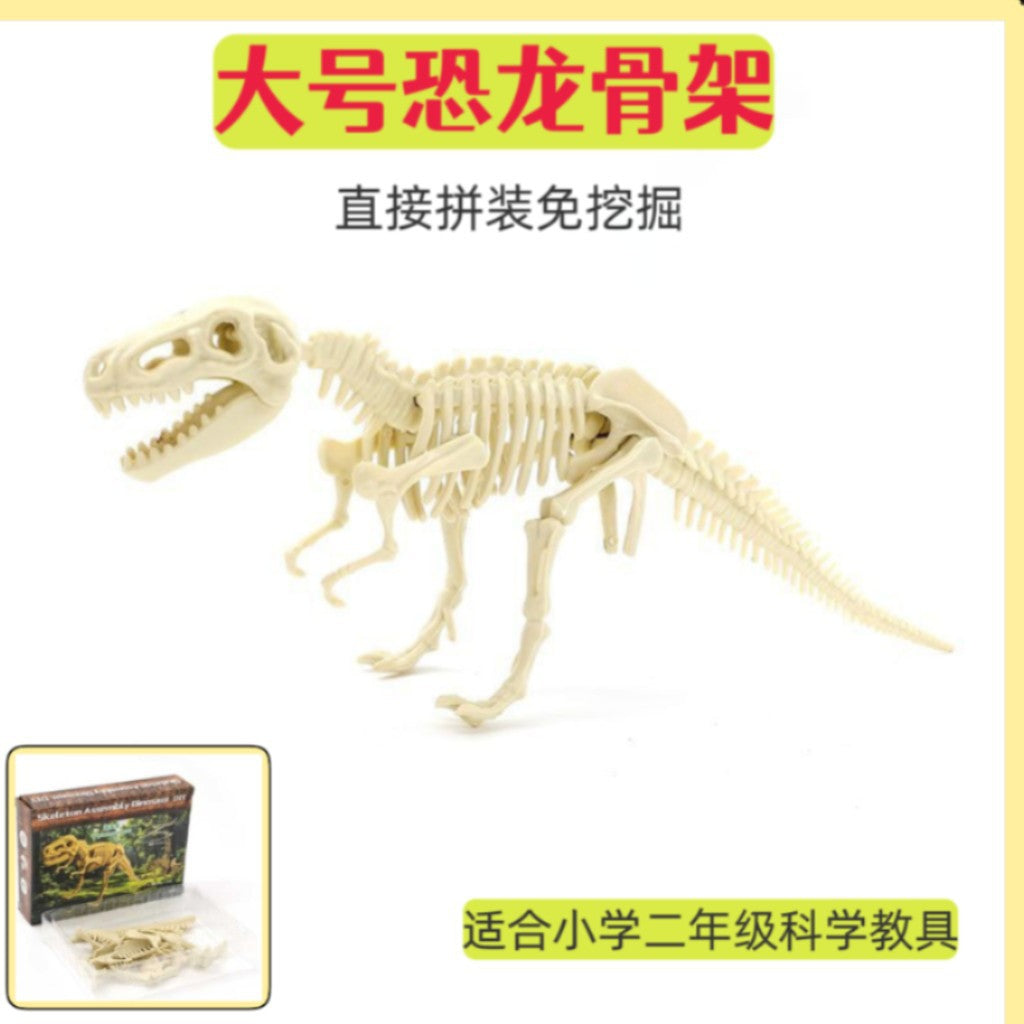 Dinosaur Skeleton Assembly Kit Educational Toy for Kids, DIY Puzzle Model for Science Learning