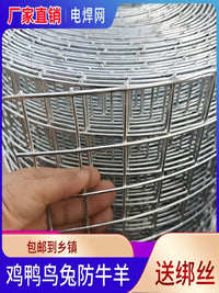 Galvanized Steel Wire Mesh Fence for Animal Enclosures and Protection
