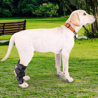 Pet Knee Brace with Support Strips for Injury Recovery and Protection, Reflective Dog Leg Sleeve