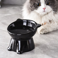 Elevated Ceramic Cat Bowl with Neck Protection and Anti-Vomit Design, Large Capacity Pet Food Dish