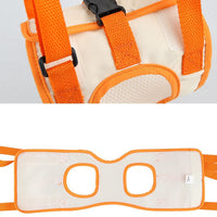 Dog Rear Leg Support Harness for Injured, Disabled, or Elderly Dogs