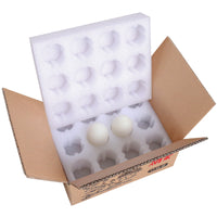EPE Foam Egg Trays for Goose Eggs, Shockproof Packaging for Shipping, 6/12/24-Count