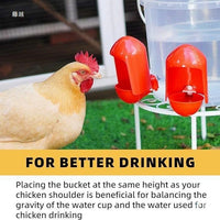 Automatic Poultry Waterer Drinking Bowl for Chickens Geese Pigeons