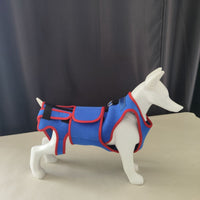 Pet Dog Spine Support Harness Vest with Calming Traction Lead
