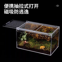 Acrylic Transparent Reptile Breeding Box for Lizards, Frogs, Spiders, and Small Snakes