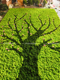 Artificial Preserved Moss Wall Decor for Indoor Vertical Greenery Backgrounds