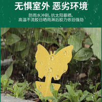 Yellow Sticky Traps for Indoor Plants and Outdoor Gardens - Dual-Sided Insect Catcher for Gnats, Fruit Flies, Mosquitoes