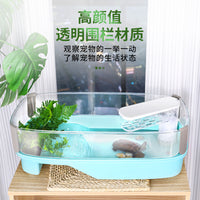 Turtle Tank with Filtration System and Landscaping for Home Use