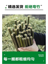 Bamboo Garden Stakes for Climbing Plants, Vegetable Support, Cucumber and Bean Trellis, Yard Fence