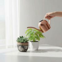 Stainless Steel Mini Watering Can for Indoor Plants, Long Spout, 500ml