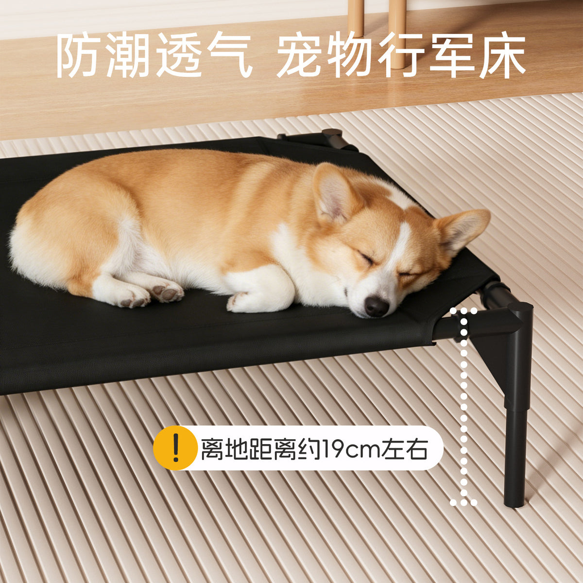 Elevated Pet Cot for Small to Medium Dogs and Cats - All-Season Breathable Pet Bed with Removable Cover