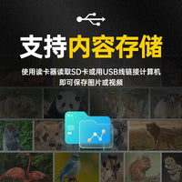 BDL808Pro 4K Infrared Trail Camera for Wildlife Monitoring, Night Vision, Time-Lapse Photography, Waterproof