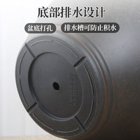 Resin Wood Grain Planter Pot for Indoor Plants