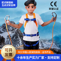 European Standard 5-Point Safety Harness for High-Altitude Work and Climbing