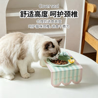 Ceramic Pet Bowl with Acrylic Stand for Cats and Dogs, Elevated Food and Water Dish for Neck Protection