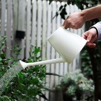 Long Spout Watering Can for Indoor Outdoor Plants