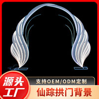 Wedding Arch Backdrop Metal Frame with LED Lights for Event Decoration
