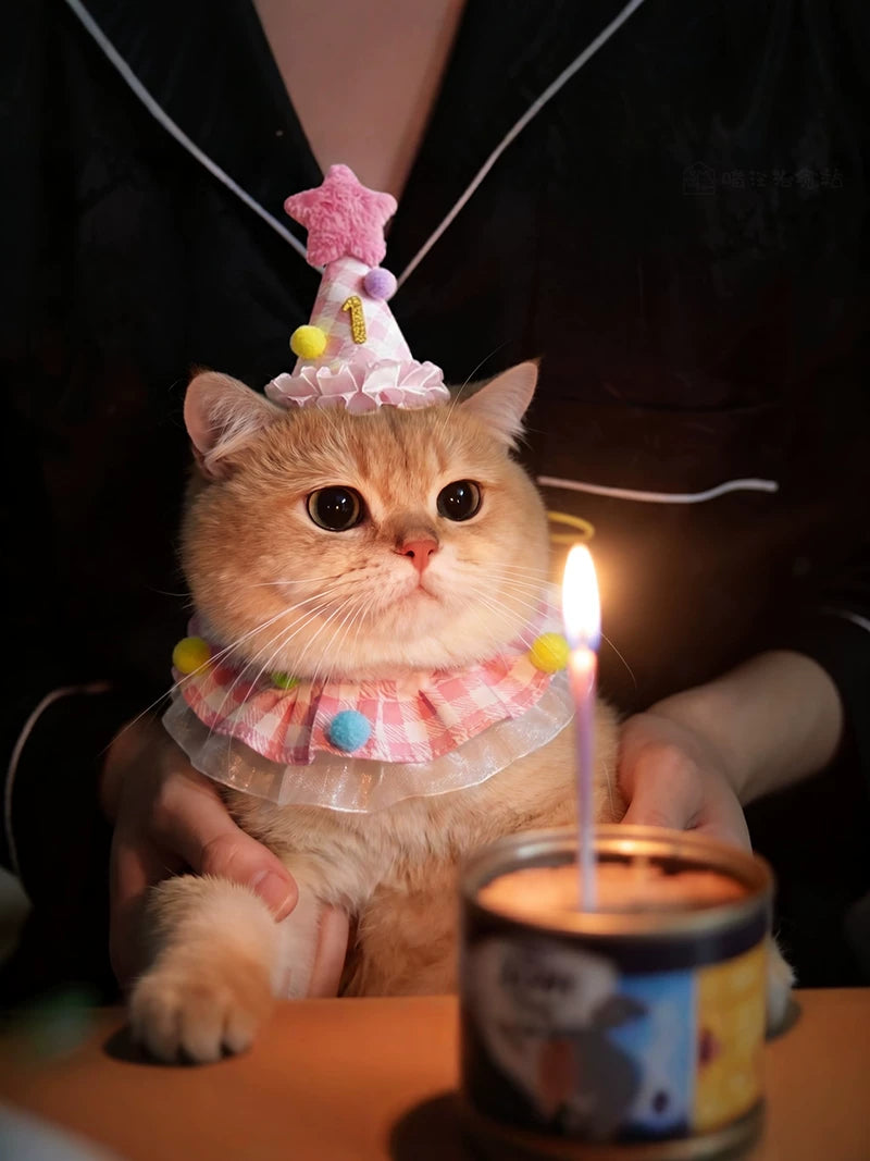 Pet Birthday Bandana with Pom-Poms and Hat for Cats and Small Dogs