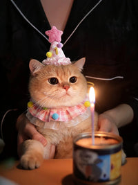 Pet Birthday Bandana with Pom-Poms and Hat for Cats and Small Dogs