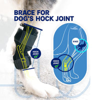 Pet Dog Knee Brace for Injury Support and Lick Prevention