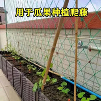 Plant Trellis Netting for Climbing Vines, Fruits, and Flowers - Garden Support Net