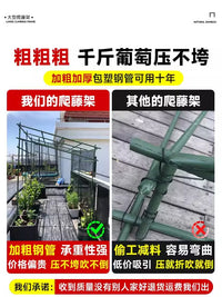 Heavy-Duty Coated Steel Garden Arch Trellis for Climbing Plants, Grapes, and Passion Fruit