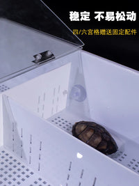 Turtle Hatchling Isolation Box with Lid and Feces Separation Plate