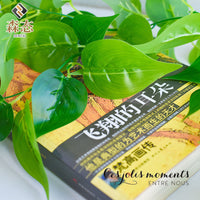 Artificial Greenery Vine for Indoor and Outdoor Decoration