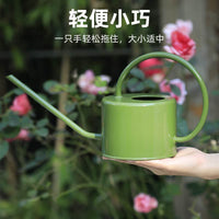 Long Spout Watering Can for Indoor Plants, 1L Metal Watering Pot for Succulents and Flowers