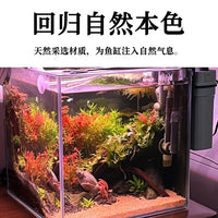 Natural Tarim Sand for Aquarium Landscaping and Aquatic Plant Substrate
