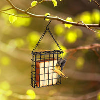 Outdoor Square Bird Feeder Hanging Metal Mesh with Chain for Hummingbirds and Parakeets
