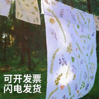 Botanical Print Fan DIY Kit with Hammer and Materials