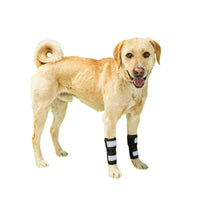 Reflective Dog Leg Brace for Joint Support and Protection
