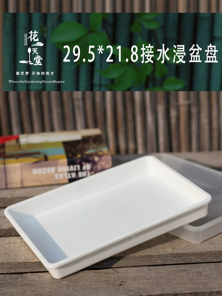 Rectangular Plastic Drip Tray / Seedling Tray for Succulents and Plants