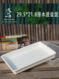Rectangular Plastic Drip Tray / Seedling Tray for Succulents and Plants
