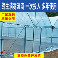Blackberry Greenhouse PO Film for Enhanced Photosynthesis and Berry Yield