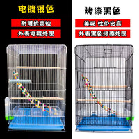 Large Parrot Bird Cage with Electroplated Metal for Breeding Budgies, Mynahs, Peonies, and Cockatiels