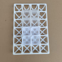 24-Hole Seedling Tray with Water Catchment Tray for Balcony Gardening and Plant Propagation