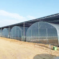 Multi-Span Greenhouse Kit with Smart External Shading & Internal Insulation for Vegetables