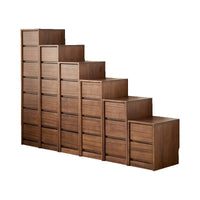 Nordic Black Walnut Solid Wood Nightstand Chest of Drawers for Living Room Bedroom Storage