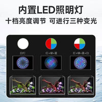 Desktop Self-Circulating Aquarium with Side Filter and Pump for Office and Home Decor