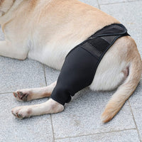 Pet Dog Leg Brace for Injury Recovery and Support
