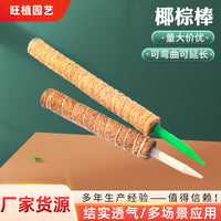 Coir Moss Pole for Climbing Plants, Plant Support Stake for Potted Plants, Monstera, Pothos, and Creepers