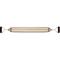 Resistance Band Set for Strength Training, Home Workouts, Muscle Building, and Physical Therapy