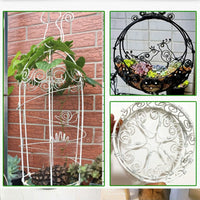 Plastic Coated Garden Wire for Plant Support, Training, and Tying
