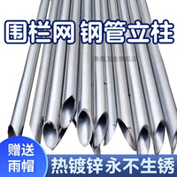 Hot-Dip Galvanized Steel Fence Posts for Livestock Enclosures and Wire Mesh Fencing