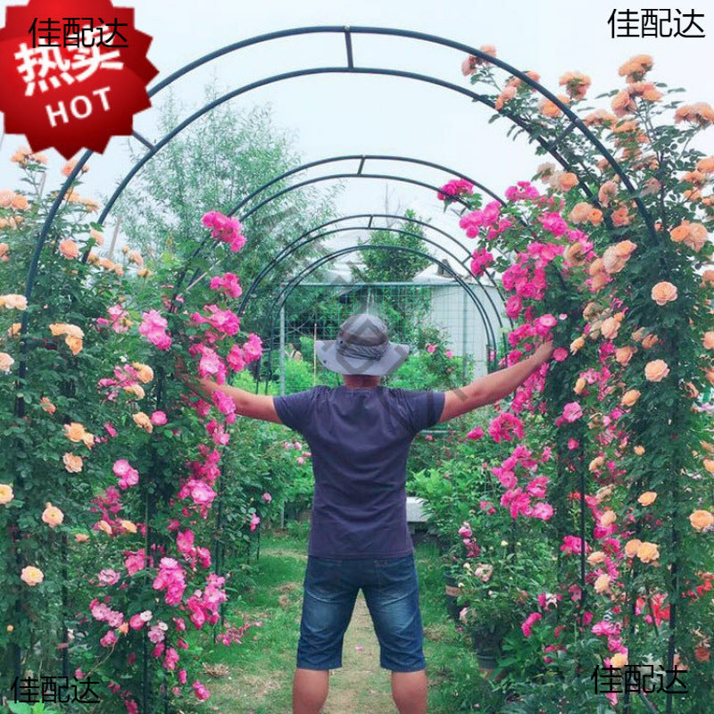 Garden Arch Trellis for Climbing Plants, Metal Rose Archway for Outdoor Vines, Grapes, and Vegetables